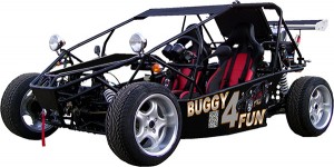 Buggy Ness 1300